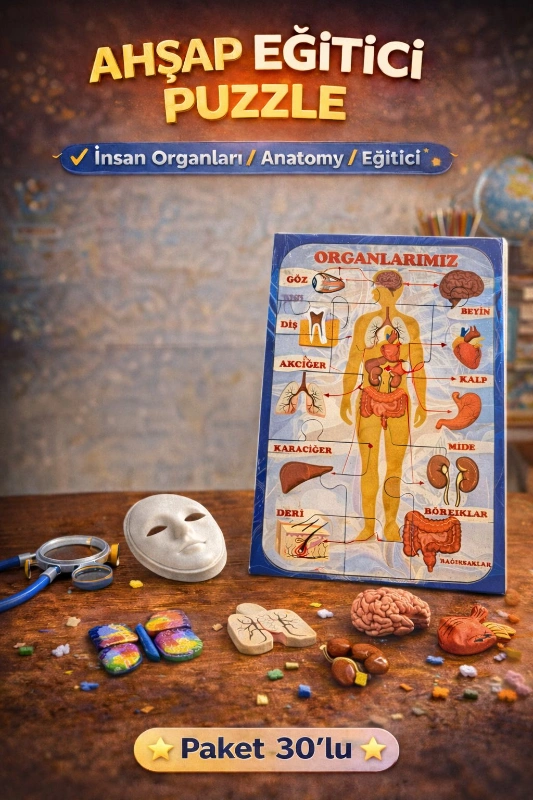 AHŞAP A4 VUCUT MODEL PUZZLE / 30LU PAKET